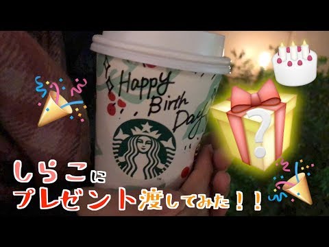 しらこ Ch Shirayuki1227 Youtube しらこ Ch Shirayuki1227 Youtube
