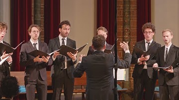 Anchor Song - Björk | Steni - Sztojanov | De.fundo o.l.v. Georgi Sztojanov