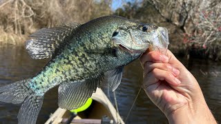Fly Fishing at Bogue Chitto State Park  Finally Found Some White Crappie!