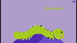 I is for inchworm