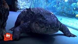 Aquarium of the Dead (2021) - Run! Zombie Crocodile! Scene | Movieclips