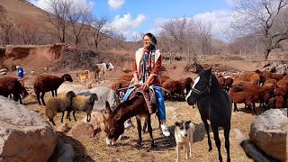 When The Donkey Got Exhausted On The Uphill Trail Honestly, I Felt Bad For Him.