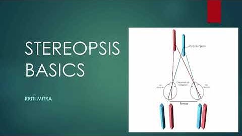 BASICS OF STEREOPSIS || Lecture by Kriti Mitra