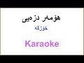      هۆمەر دزەیی ـ خوایە ئەبێ ئێستا