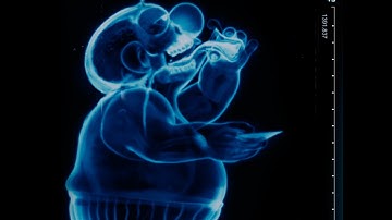 Her 10 müşterimizden 9’u bizi tavsiye ediyor!