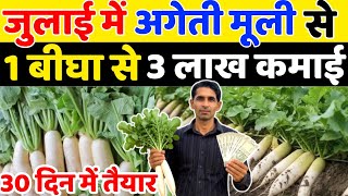 बरसात में मूली की खेती कैसे करे | July Me Muli Ki Kheti | Muli Ki Kheti | Raddish Farming | Muli  screenshot 3