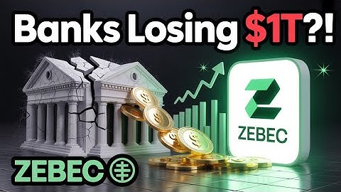 Zebec Network: The Game-Changer Crypto Needs