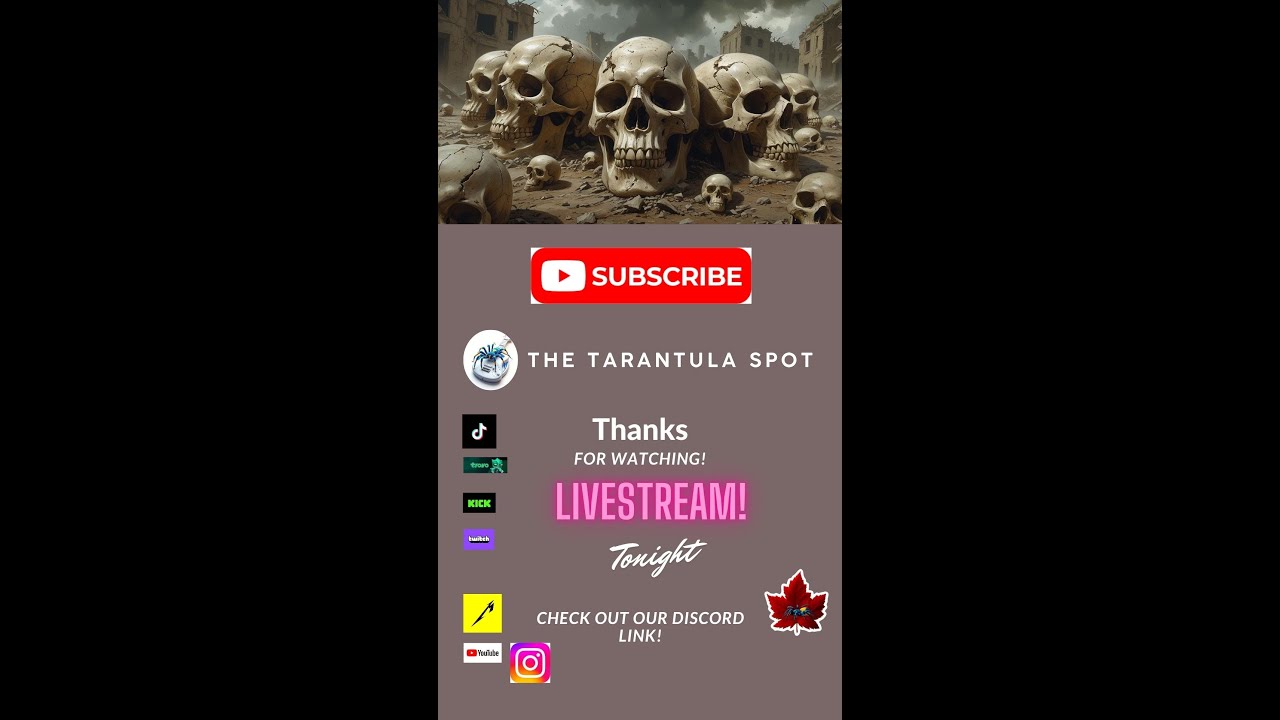 Just Chatting! Music Live Requests! #metallica #guitarcovers #livestream #heavymetal