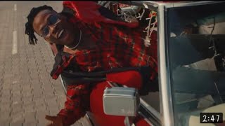 Fireboy DML-Friday Feeling (Official Video)