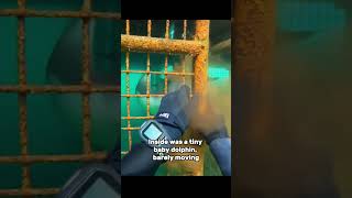 Mother Dolphin Asked For My Help... Then She Saved My Life