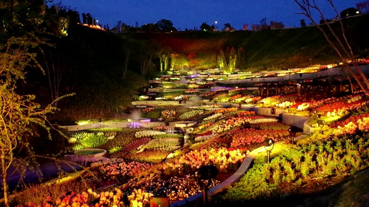 ネスタリゾート神戸のお花畑 ネスタフローラ のライトアップがスゴすぎる トラベルjp たびねす Youtube