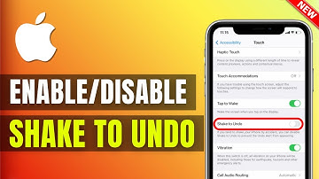 iPhone 13/13 Pro: How to Enable/Disable Shake to Undo