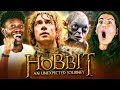 THE HOBBIT AN UNEXPECTED JOURNEY Was NOT What We Expected 