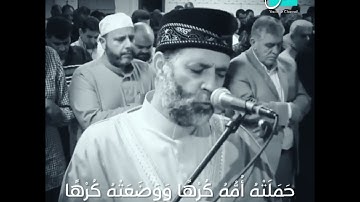 ووصينا الإنسان بوالديه إحساناً - تلاوة مؤثرة الشيخ حسن صالح - حالات واتس ✨❤️