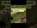 Un gallo nos quiso golpear y pagó las consecuencias 🤣🤣 #projectzomboid