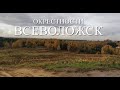 ОКРЕСТНОСТИ. ВСЕВОЛОЖСК