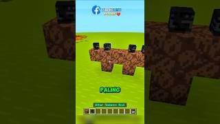 Eksperimen 2 Wither