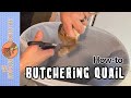 Warning graphic how to butchering quail