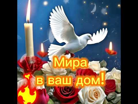 Мира в ваш дом! Здоровья и добра! #пожелания #реки