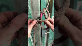 Double Becket Hitch.