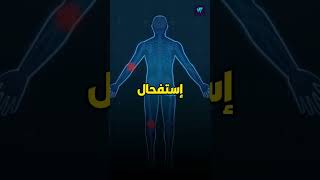 ما الذي سيحدث لجسمك اذا لم تتناول الخضراوات