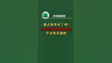 格式刷高级用法，学会效率翻倍 本视频教大家格式刷的高级用法，学会效率翻倍。#Excel技巧 #Excel函数 #excel教程 #wps教程 #格式刷