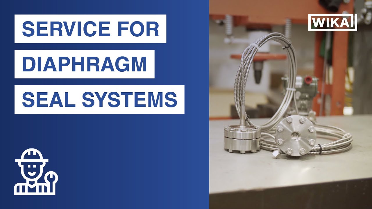 Service for diaphragm seal systems | A global init...