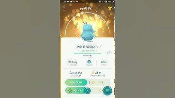 Lucky Trade Shiny Psyduck Pokémongo
