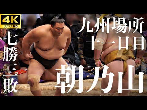 ジャスミンです。佐田の海 朝乃山 九州場所2025】朝乃山 全取組 - YouTube