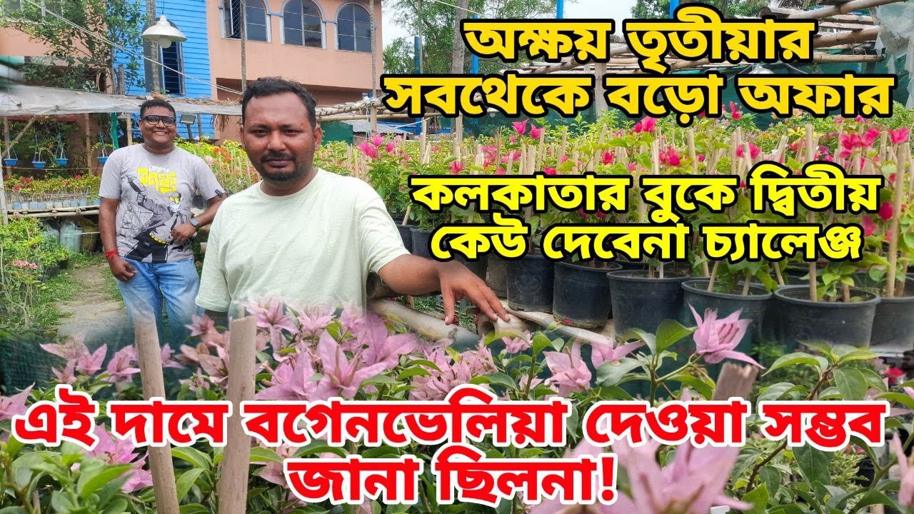 কলকাতার নার্সারির রাজা Go Green, এত সস্তায় গাছ দ্বিতীয় কেউ দেয় না / Top quality plant Nursery /