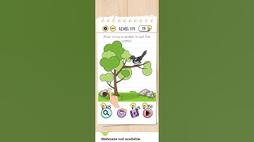 brain test level 171 - poor crow is unable to eat the walnut.