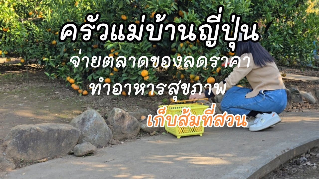 152 [Маркетинг товаров со скидкой] Отправляйтесь в апельсиновый сад и приготовьте еду для бэнто, ...