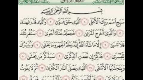 اجمل واروع تلاوة خاشعه من سورة الاعلئ بصوت عصام العامري ابو عامر بلهجه والقارئ حمز