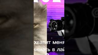 БЕЛЫЙ ЧЕЛОВЕК С КАМЕРОЙ УНИЗИЛ КОТА ! #cat #суперсобака #memes #блокс #роблокс #сваты6 #мем #корж