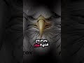 اذا لم تكن في حضرة الحق فلا تكن في زحمة الباطل