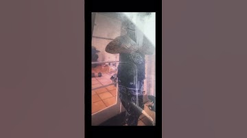 Gang Member Crip Mac Called From Prison! *Not Clickbait* #shortsfeed #shorts #cripmac #feed