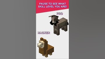 Minecraft PRO vs HACKER ! Can you pause at the right time? #shorts