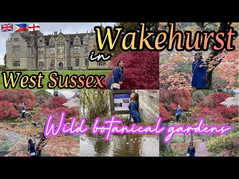 📍WAKEHURST KEW WILD  BOTANICAL GARDENS | AUTUMN WALKS  || WEST SUSSEX ENGLAND ||TRAVEL WITH ME (4K)