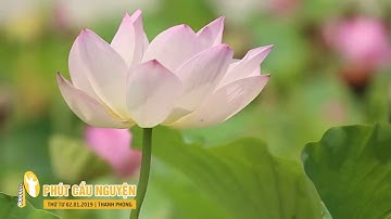 Phút Cầu Nguyện, Thứ Tư 02/01/2019: Mọi Kết Thúc Đều Là Khởi Đầu