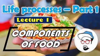Components of food || Life processes in Living Organisms Part 1 CLass 10 SSC