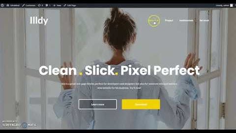 How to setup menu and sections in illdy WordPress theme