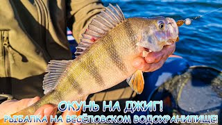 Рыбалка на ВЕСЁЛОВСКОМ водохранилище! Ловля окуня на джиг!