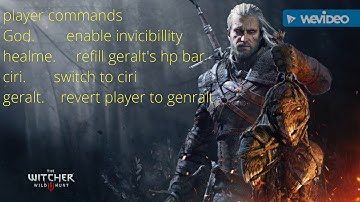 The witcher 3 pc commands