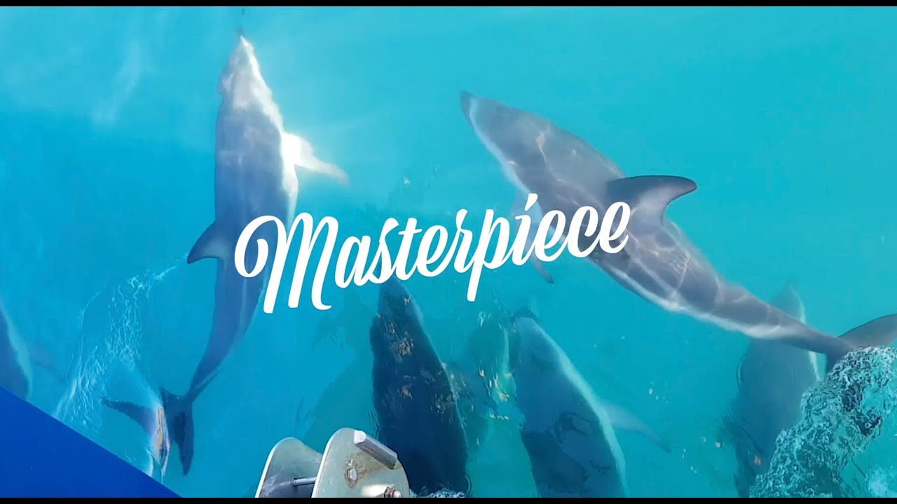 New Zealand Trails | Masterpiece