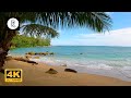 🌴 Cozy Island Ambience Thailand | Ocean Sounds, Thunder & Rain | Relaxing Sounds for Spa & Sleep