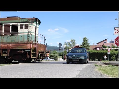 Video: Ako Prepravovať šteňa Vlakom