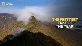 The Prettiest Time of the Year! | China's Hidden Kingdoms | National Geographic