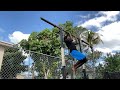 Pull-up exercise 