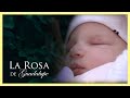 La Rosa de Guadalupe: Agripina se roba a la hija de sus patrones | Amor en tiempo de cuarentena