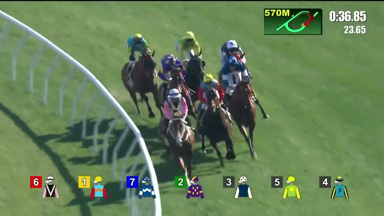 KA YING RISING - Centenary Sprint Cup 2026 (3YO+ WFA G1) Group 1